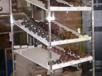 Chocolate display cabinet